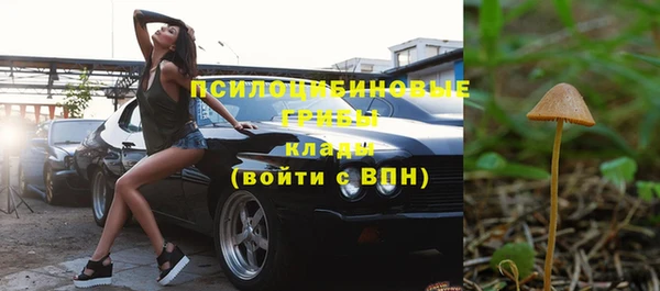 хмурый Балахна