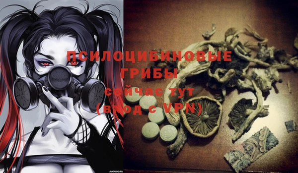 гидра Балабаново