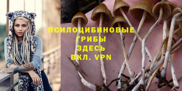 гидра Балабаново