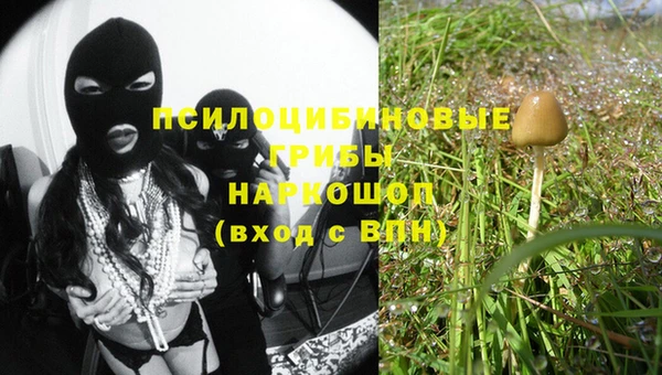 хмурый Балахна