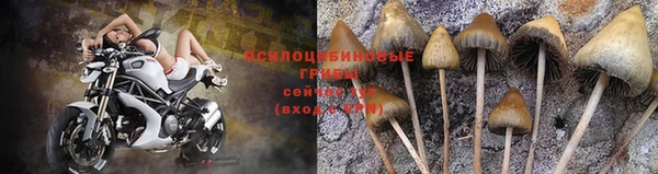 хмурый Балахна